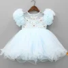 Fashion Cut Dana Embellished Blue Ruffled Sleeves Dress Dresses & Sets | Dresses