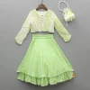Best Dual Tone Embellished Embroidered Top And Green Lehenga With Matching Potli Bag Ethnic Wear | Lehengas & Ghagras