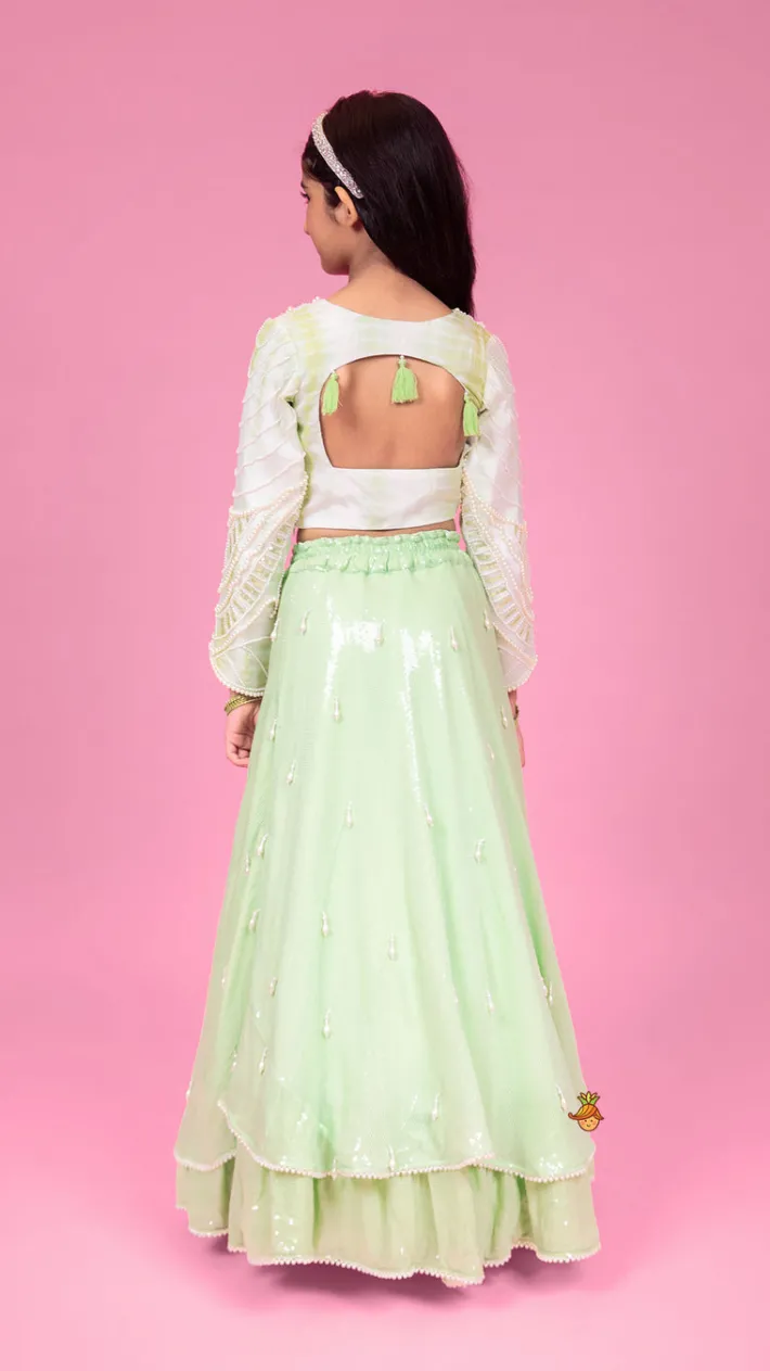 Best Dual Tone Embellished Embroidered Top And Green Lehenga With Matching Potli Bag Ethnic Wear | Lehengas & Ghagras