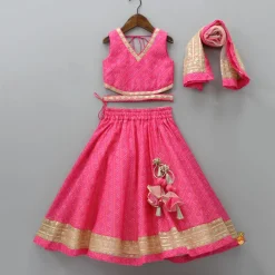 Best Elegant Pink Top And Fringes Tassels Detail Lehenga With Matching Dupatta Ethnic Wear | Lehengas & Ghagras