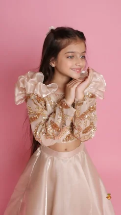 Fashion Embroidered Elegant Ruffle Detailed Top And Lehenga Ethnic Wear | Lehengas & Ghagras