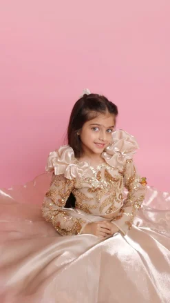 Fashion Embroidered Elegant Ruffle Detailed Top And Lehenga Ethnic Wear | Lehengas & Ghagras