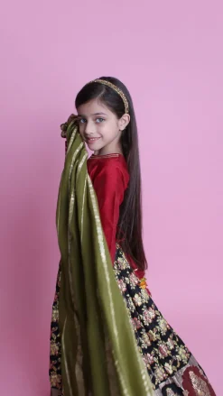 Hot Maroon Elephant Hand Embroidered Applique Top And Brocade Lehenga With Dupatta Ethnic Wear | Lehengas & Ghagras