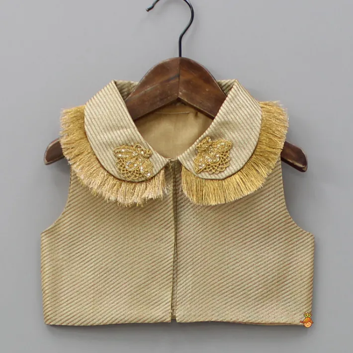 Online Peter Pan Collar Top And Embroidered Lehenga Ethnic Wear | Lehengas & Ghagras