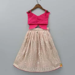 Clearance Pink Butterfly Top And Floral Embroidered Lehenga Ethnic Wear | Lehengas & Ghagras