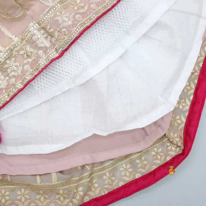 Clearance Pink Butterfly Top And Floral Embroidered Lehenga Ethnic Wear | Lehengas & Ghagras