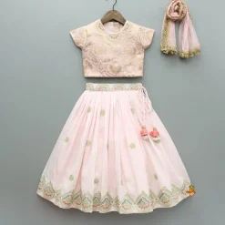 Best Pink Embroidered Brocade Top And Lehenga With Dupatta Ethnic Wear | Lehengas & Ghagras