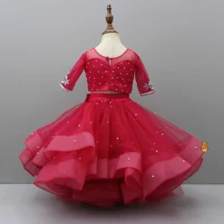 Sale Pink Embroidered Crop Top And Net Layered Lehenga Ethnic Wear | Lehengas & Ghagras
