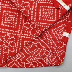 Online Printed Red Top And Lehenga With Net Dupatta Twinning Sets | Ethnic Wear