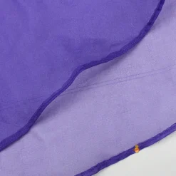 Best Purple Embroidered Top And Lehenga With Long Embellished Cape Ethnic Wear | Lehengas & Ghagras