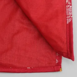 Best Red Elephant Printed Kurta With White Patiala BOY Indian Ethnic Wear | Ethnic Sets