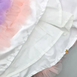 New Ruffle Net Sequin Work Dress Dresses & Sets | Dresses