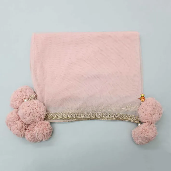 Fashion Tassels Enhanced Peach Net Dupatta Ethnic Wear