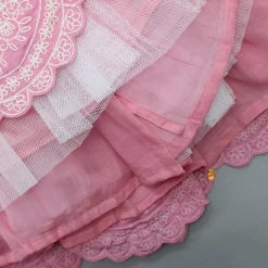 Hot Thread Embroidered Pink Top And Pleated Lehenga Ethnic Wear | Lehengas & Ghagras