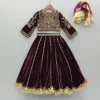 Hot Velvet Embroidered Top And Lehenga With Dupatta Ethnic Wear | Lehengas & Ghagras